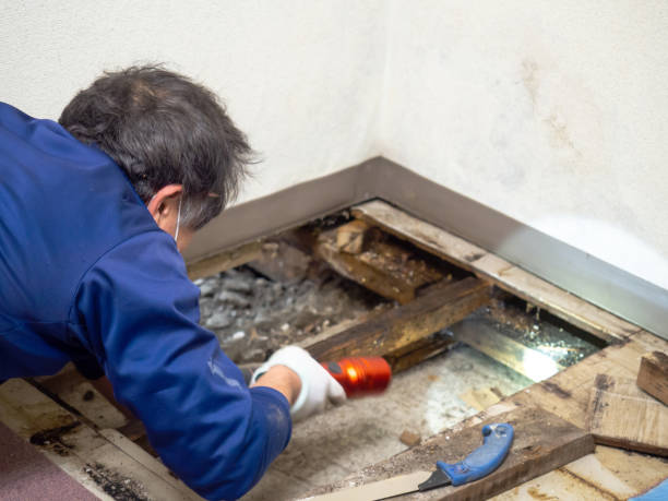 Best Mold Testing  in Middletown, OH