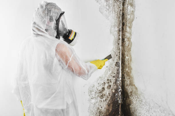 Best Crawl Space Mold Removal  in Middletown, OH