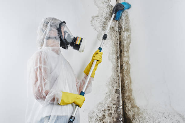 Best Mold Testing  in Middletown, OH