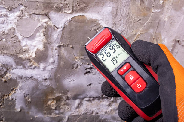 Best Mold Removal Near Me  in Middletown, OH