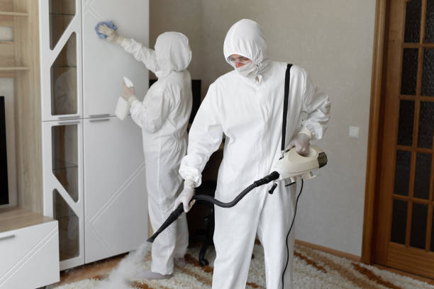 Best Home Mold Removal  in Middletown, OH