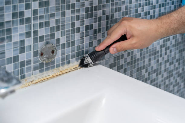 Best Certified Mold Removal  in Middletown, OH